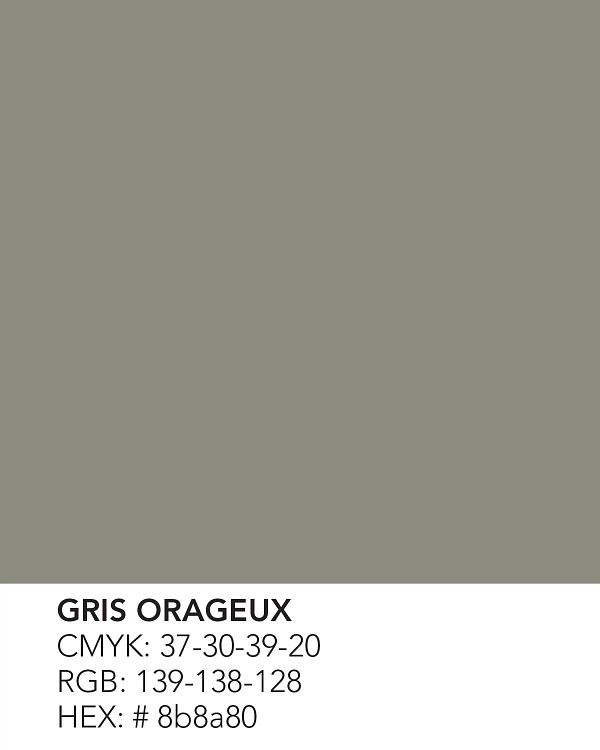 Gris orageux 570